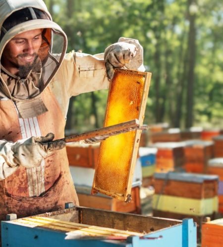 our product sources (3)